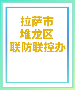 拉萨市堆龙区031