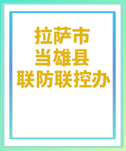 拉萨市当雄县031