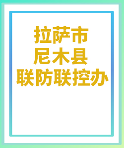 拉萨市尼木县031