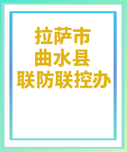 拉萨市曲水县031