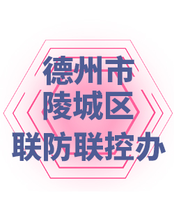 德州市陵城区005