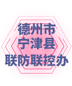 德州市宁津县005