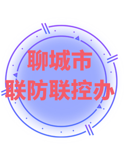 聊城市005