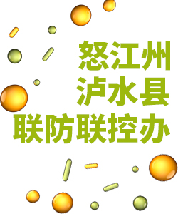 怒江州泸水县019