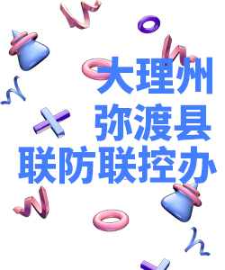 大理州弥渡县019