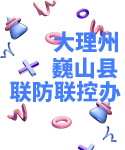 大理州巍山县019
