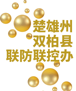 楚雄州双柏县019