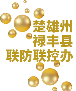 楚雄州禄丰县019