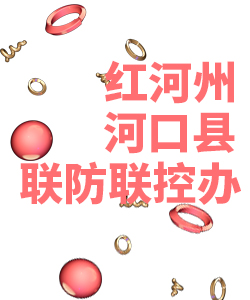 红河州河口县019