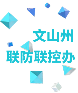 文山州019