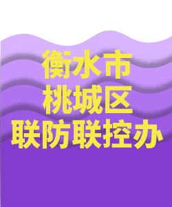 衡水市桃城007
