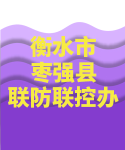 衡水市枣强007