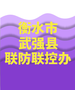衡水市武强007