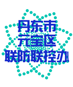 丹东市元宝011