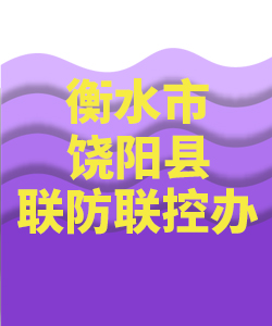 衡水市饶阳007