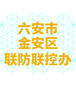 六安市金安014
