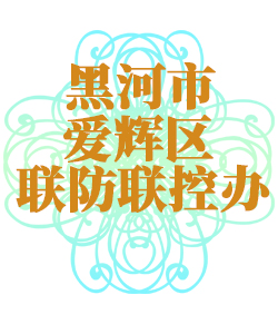 黑河市爱辉025