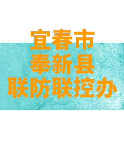 宜春市奉新县026