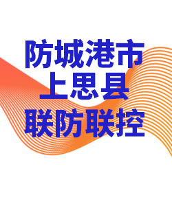 防城港市上思028