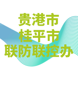 贵港市桂平市028