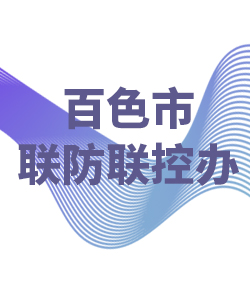 百色市028