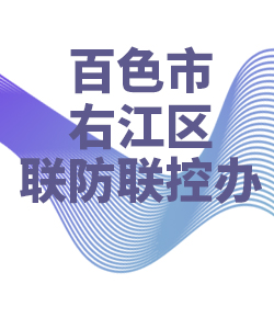 百色市右江区028