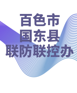 百色市国东县028