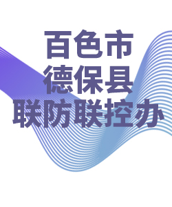 百色市德保028