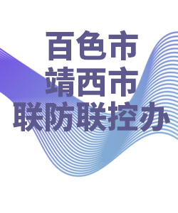 百色市靖西县028