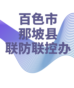 百色市那坡县028
