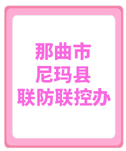 那曲市尼玛031