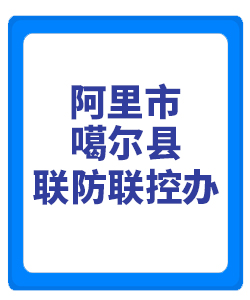 阿里市噶尔031