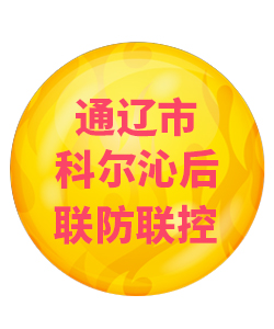 通辽市科尔沁后032