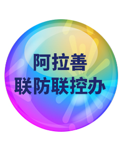 阿拉盖032
