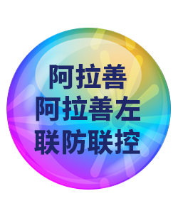 阿拉盖阿拉善左032