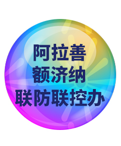 阿拉善额济纳032