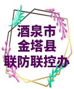酒泉市金塔县022