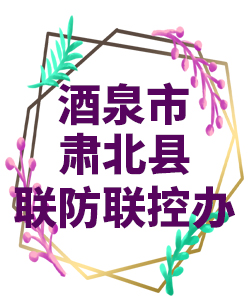 酒泉市萧北县022