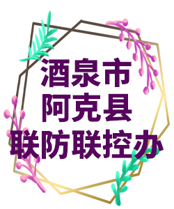 酒泉市阿克县022