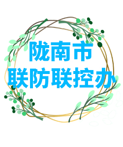 甘肃省陇南市022