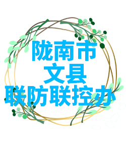 陇南市文县022