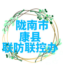 陇南市康县022