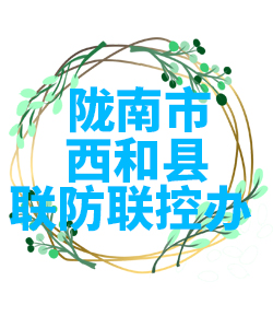 陇南市西和县022