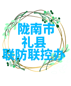陇南市礼县022