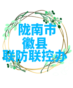 陇南市微县022