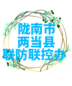 陇南市两当县022