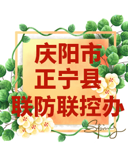 庆阳市正宁县022