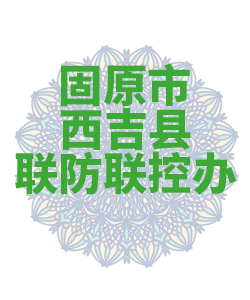固原市西吉县029